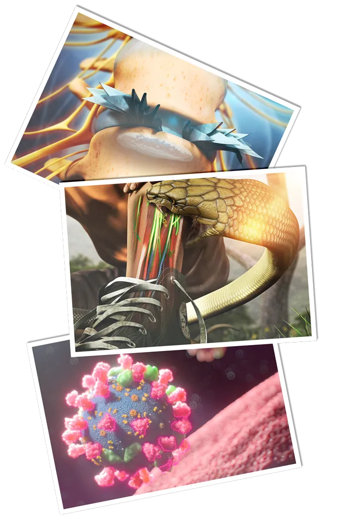 Building a strong Medical Animation portfolio is extremely vital for showcasing your skills as a medical animator.